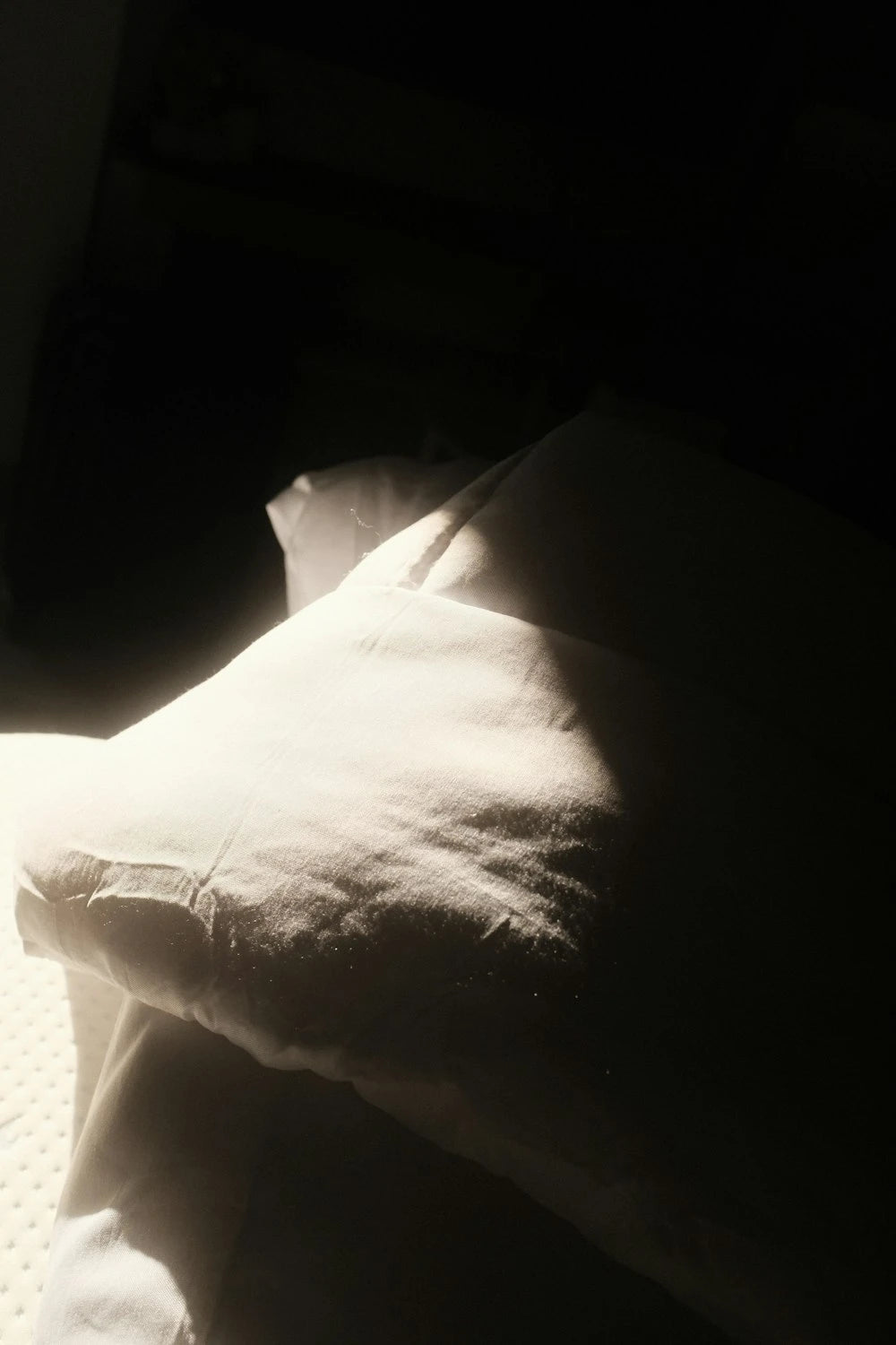 Premium Microfiber Pillow — real white-product reference photograph